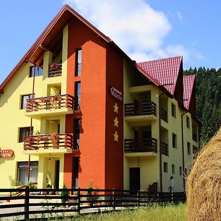 Pension Valeria Воронец Экстерьер фото